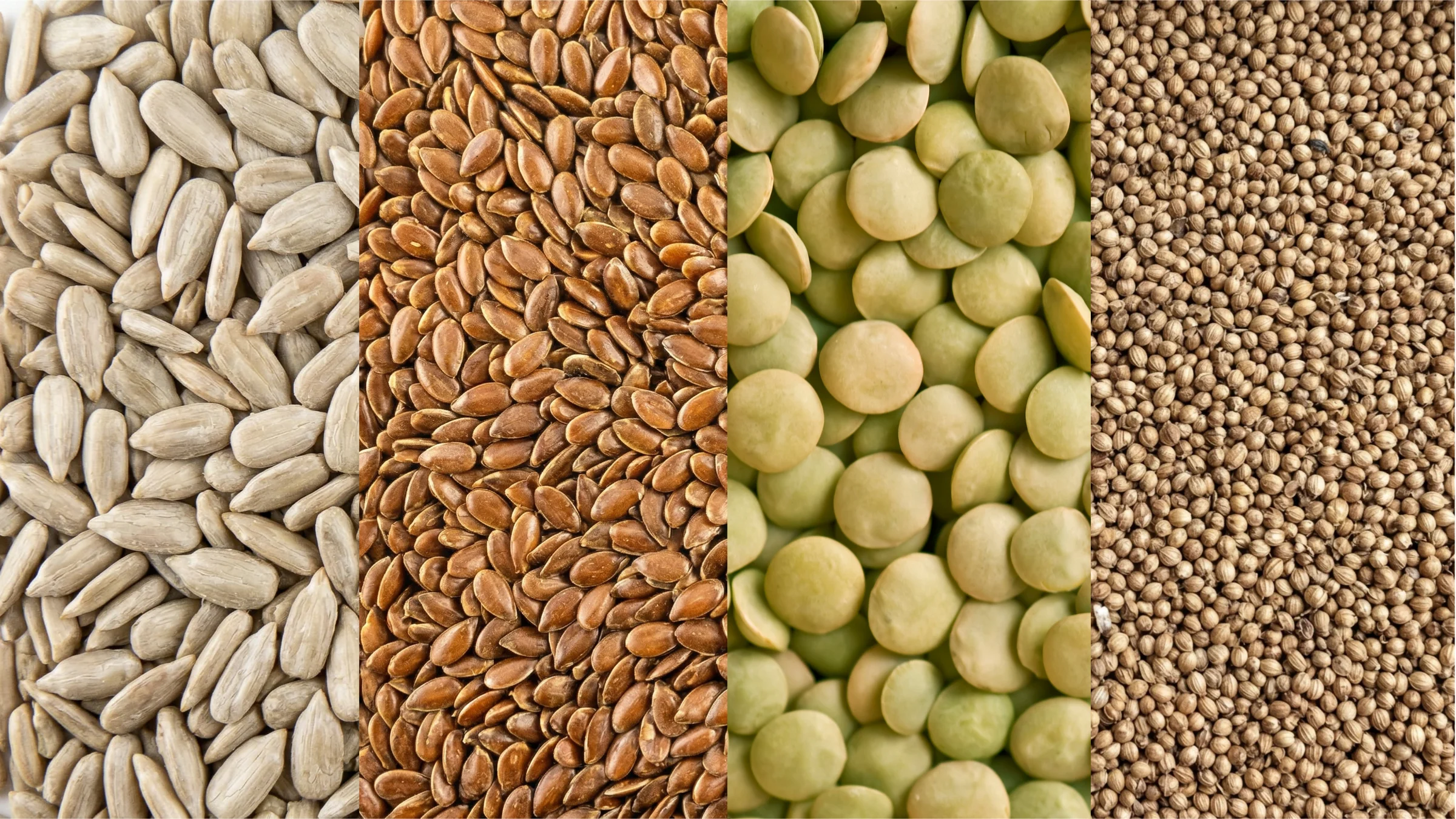Premium food ingredients sourced by Green Bridge Commodities