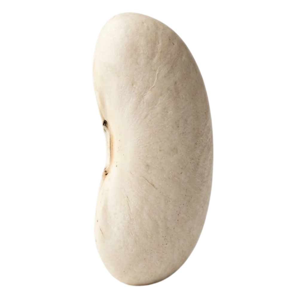 White Beans